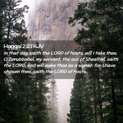 Picture 02 - Haggai 2:23 KJV - In that day, saith the LORD of hosts, will I take - Bible Verse Picture
