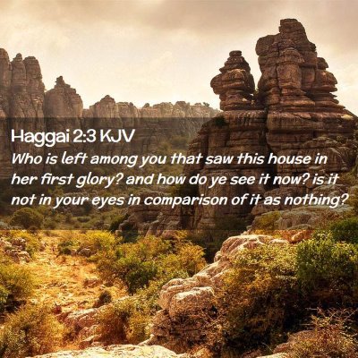 Picture 02 - Haggai 2:3 KJV - Who is left among you that saw this house in her - Bible Verse Picture