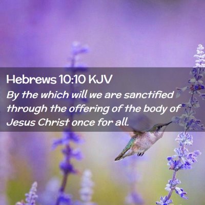 Picture 02 - Hebrews 10:10 KJV - By the which will we are sanctified through the - Bible Verse Picture