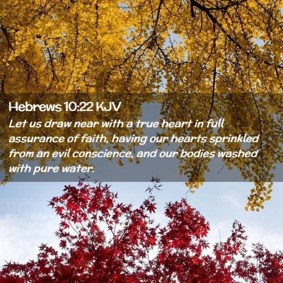 Picture 02 - Hebrews 10:22 KJV - Let us draw near with a true heart in full - Bible Verse Picture