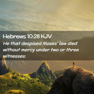 Picture 02 - Hebrews 10:28 KJV - He that despised Moses' law died without mercy - Bible Verse Picture