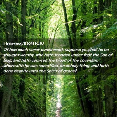 Picture 02 - Hebrews 10:29 KJV - Of how much sorer punishment, suppose ye, shall - Bible Verse Picture