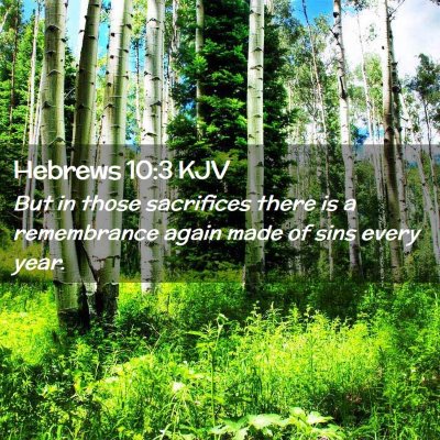 Picture 02 - Hebrews 10:3 KJV - But in those sacrifices there is a remembrance - Bible Verse Picture