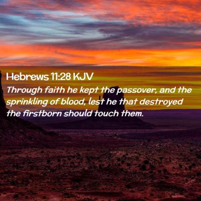 Picture 02 - Hebrews 11:28 KJV - Through faith he kept the passover, and the - Bible Verse Picture