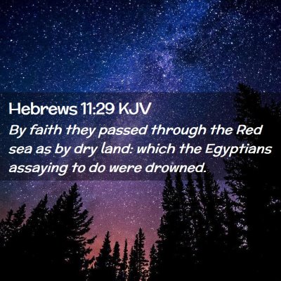 Picture 02 - Hebrews 11:29 KJV - By faith they passed through the Red sea as by - Bible Verse Picture