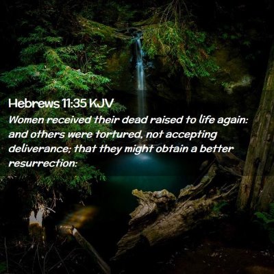 Picture 02 - Hebrews 11:35 KJV - Women received their dead raised to life again: - Bible Verse Picture