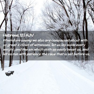 Picture 02 - Hebrews 12:1 KJV - Wherefore seeing we also are compassed about with - Bible Verse Picture
