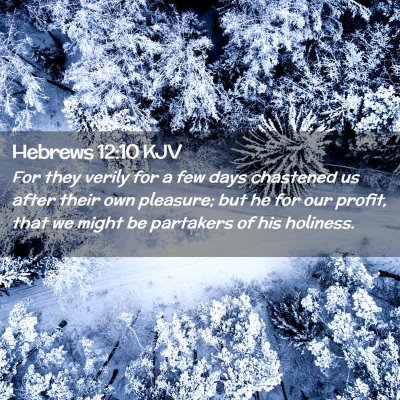 Picture 02 - Hebrews 12:10 KJV - For they verily for a few days chastened us after - Bible Verse Picture