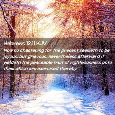 Picture 02 - Hebrews 12:11 KJV - Now no chastening for the present seemeth to be - Bible Verse Picture