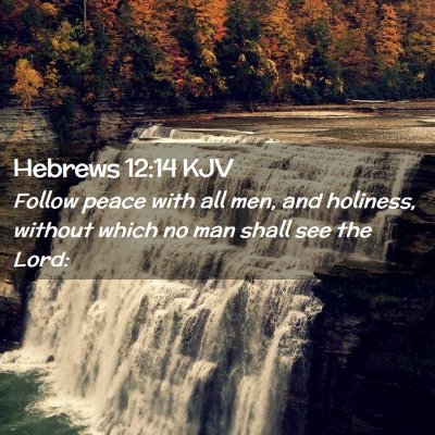 Picture 02 - Hebrews 12:14 KJV - Follow peace with all men, and holiness, without - Bible Verse Picture