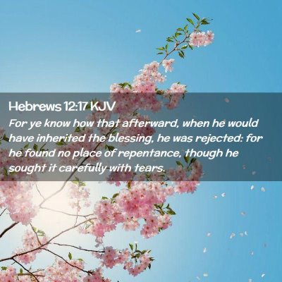 Picture 02 - Hebrews 12:17 KJV - For ye know how that afterward, when he would - Bible Verse Picture