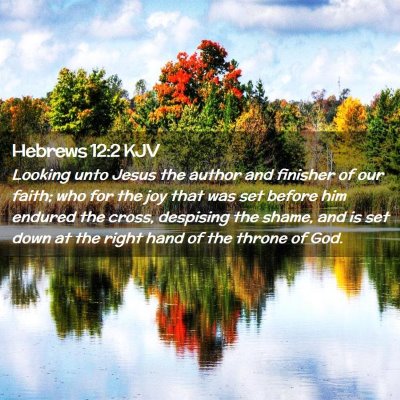 Picture 02 - Hebrews 12:2 KJV - Looking unto Jesus the author and finisher of our - Bible Verse Picture