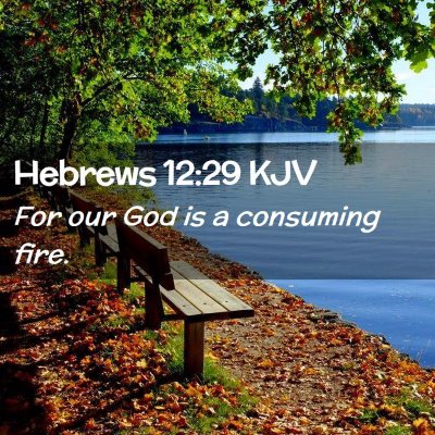 Picture 02 - Hebrews 12:29 KJV - For our God is a consuming - Bible Verse Picture