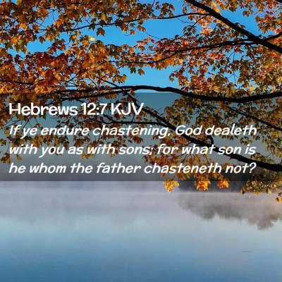 Picture 02 - Hebrews 12:7 KJV - If ye endure chastening, God dealeth with you as - Bible Verse Picture