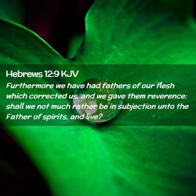 Picture 02 - Hebrews 12:9 KJV - Furthermore we have had fathers of our flesh - Bible Verse Picture