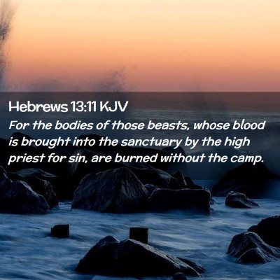 Picture 02 - Hebrews 13:11 KJV - For the bodies of those beasts, whose blood is - Bible Verse Picture