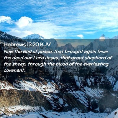 Picture 02 - Hebrews 13:20 KJV - Now the God of peace, that brought again from the - Bible Verse Picture