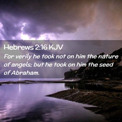 Picture 02 - Hebrews 2:16 KJV - For verily he took not on him the nature of - Bible Verse Picture