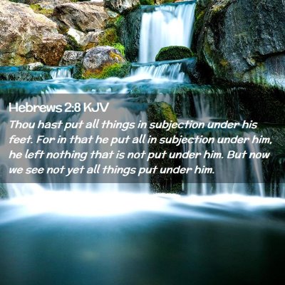 Picture 02 - Hebrews 2:8 KJV - Thou hast put all things in subjection under his - Bible Verse Picture