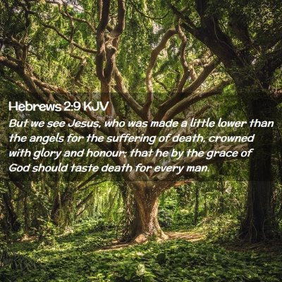 Picture 02 - Hebrews 2:9 KJV - But we see Jesus, who was made a little lower - Bible Verse Picture