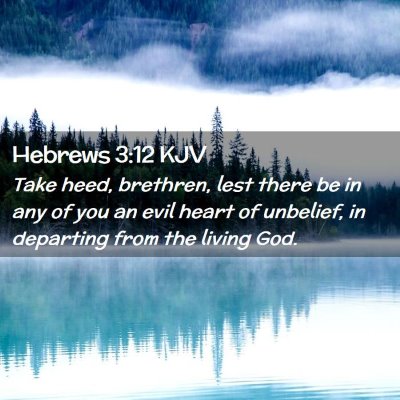 Picture 02 - Hebrews 3:12 KJV - Take heed, brethren, lest there be in any of you - Bible Verse Picture