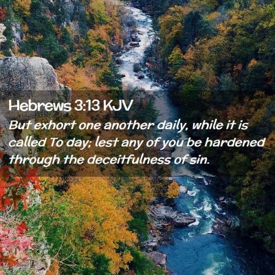 Picture 02 - Hebrews 3:13 KJV - But exhort one another daily, while it is called - Bible Verse Picture
