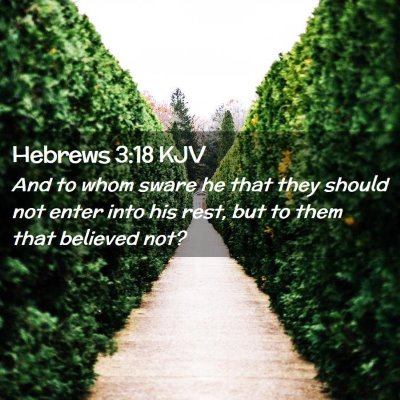 Picture 02 - Hebrews 3:18 KJV - And to whom sware he that they should not enter - Bible Verse Picture