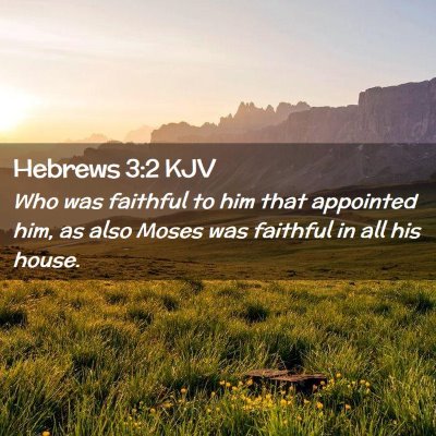 Picture 02 - Hebrews 3:2 KJV - Who was faithful to him that appointed him, as - Bible Verse Picture