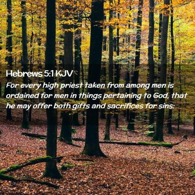 Picture 02 - Hebrews 5:1 KJV - For every high priest taken from among men is - Bible Verse Picture