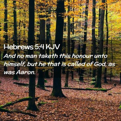 Picture 02 - Hebrews 5:4 KJV - And no man taketh this honour unto himself, but - Bible Verse Picture