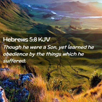 Picture 02 - Hebrews 5:8 KJV - Though he were a Son, yet learned he obedience by - Bible Verse Picture