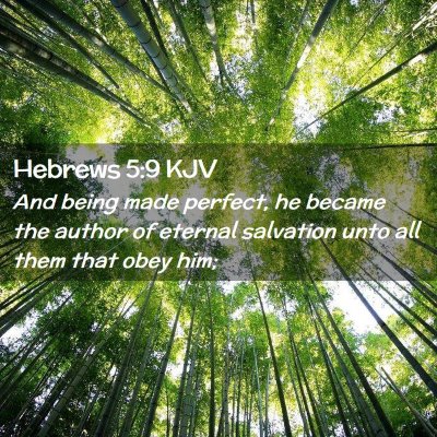 Picture 02 - Hebrews 5:9 KJV - And being made perfect, he became the author of - Bible Verse Picture