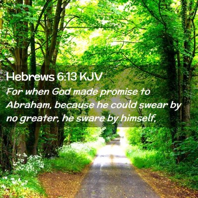 Picture 02 - Hebrews 6:13 KJV - For when God made promise to Abraham, because he - Bible Verse Picture