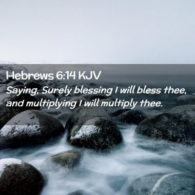 Picture 02 - Hebrews 6:14 KJV - Saying, Surely blessing I will bless thee, and - Bible Verse Picture