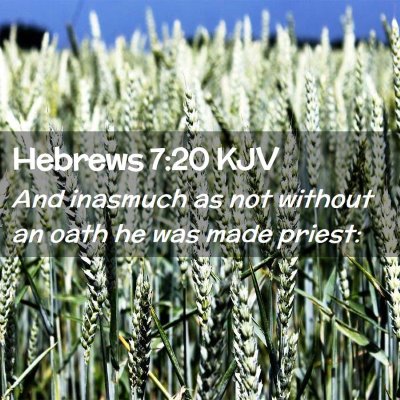 Picture 02 - Hebrews 7:20 KJV - And inasmuch as not without an oath he was made - Bible Verse Picture
