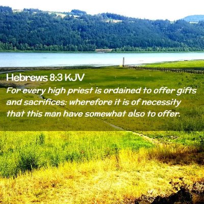 Picture 02 - Hebrews 8:3 KJV - For every high priest is ordained to offer gifts - Bible Verse Picture