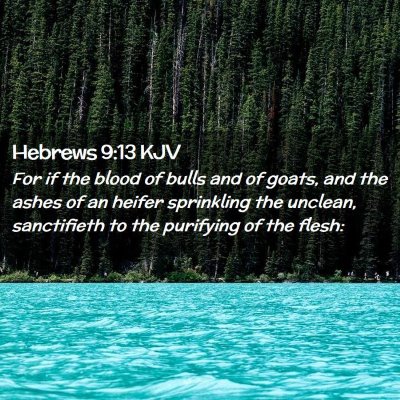 Picture 02 - Hebrews 9:13 KJV - For if the blood of bulls and of goats, and the - Bible Verse Picture