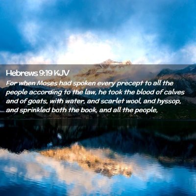 Picture 02 - Hebrews 9:19 KJV - For when Moses had spoken every precept to all - Bible Verse Picture
