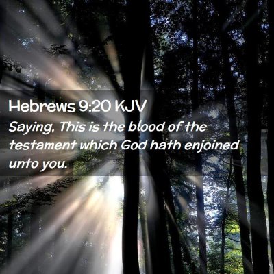 Picture 02 - Hebrews 9:20 KJV - Saying, This is the blood of the testament which - Bible Verse Picture