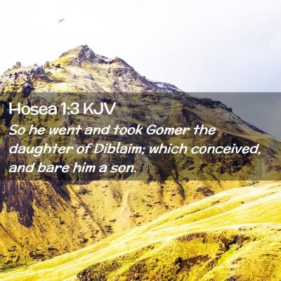Picture 02 - Hosea 1:3 KJV - So he went and took Gomer the daughter of - Bible Verse Picture