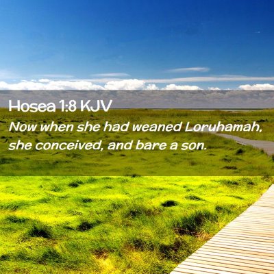 Picture 02 - Hosea 1:8 KJV - Now when she had weaned Loruhamah, she conceived, - Bible Verse Picture