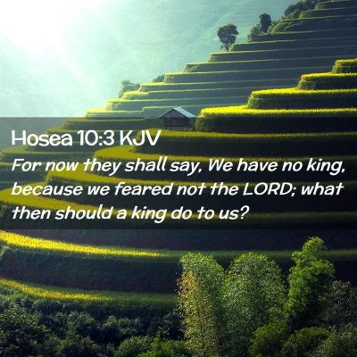 Picture 02 - Hosea 10:3 KJV - For now they shall say, We have no king, because - Bible Verse Picture