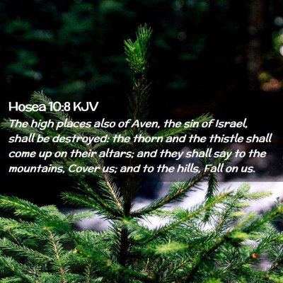 Picture 02 - Hosea 10:8 KJV - The high places also of Aven, the sin of Israel, - Bible Verse Picture