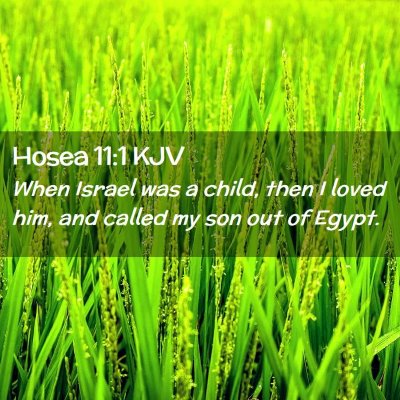 Picture 02 - Hosea 11:1 KJV - When Israel was a child, then I loved him, and - Bible Verse Picture