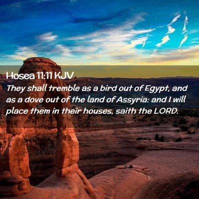 Picture 02 - Hosea 11:11 KJV - They shall tremble as a bird out of Egypt, and as - Bible Verse Picture