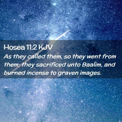 Picture 02 - Hosea 11:2 KJV - As they called them, so they went from them: they - Bible Verse Picture