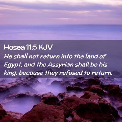 Picture 02 - Hosea 11:5 KJV - He shall not return into the land of Egypt, and - Bible Verse Picture