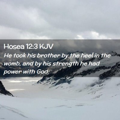 Picture 02 - Hosea 12:3 KJV - He took his brother by the heel in the womb, and - Bible Verse Picture