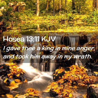 Picture 02 - Hosea 13:11 KJV - I gave thee a king in mine anger, and took him - Bible Verse Picture