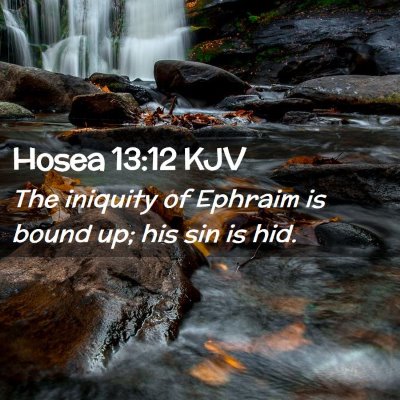 Picture 02 - Hosea 13:12 KJV - The iniquity of Ephraim is bound up; his sin is - Bible Verse Picture